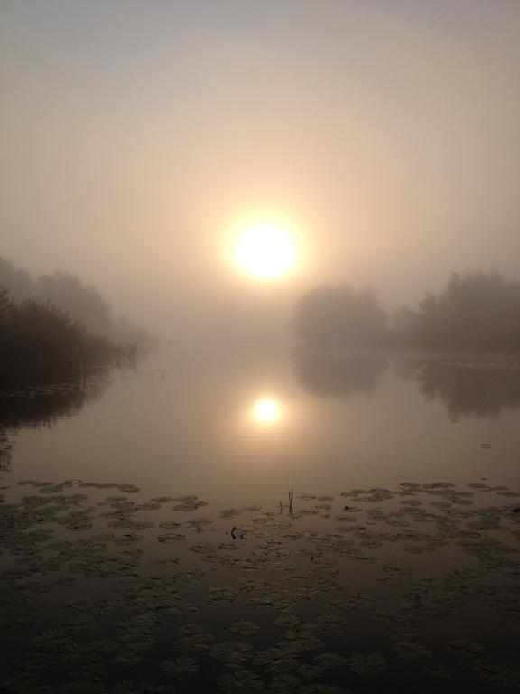 Studio Lakeside Spiegelplas Nederhorst den Berg Værelse billede