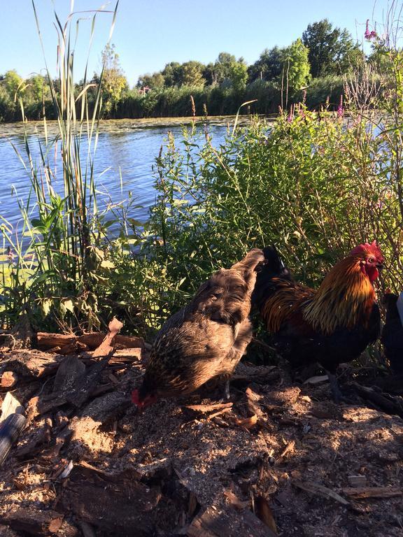 Studio Lakeside Spiegelplas Nederhorst den Berg Eksteriør billede