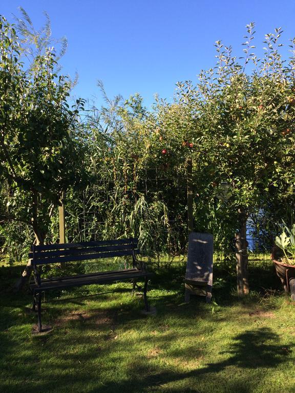 Studio Lakeside Spiegelplas Nederhorst den Berg Eksteriør billede