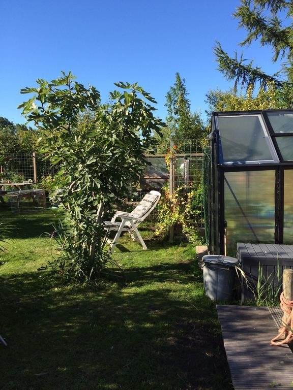 Studio Lakeside Spiegelplas Nederhorst den Berg Eksteriør billede